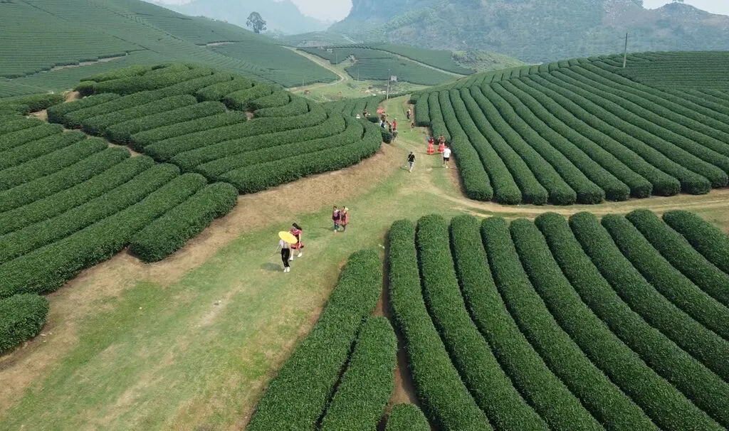 Les voyageurs vietnamiens parmi les plus soucieux de la durabilité en Asie
